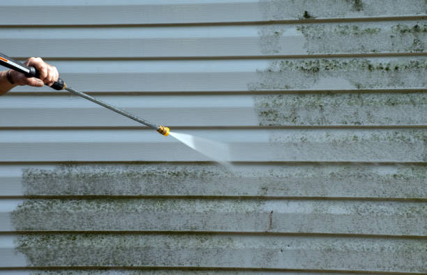 Best Residential Mold Removal  in Ellisburg, NJ