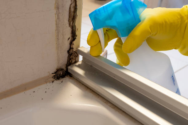 Best Professional Mold Removal  in Ellisburg, NJ
