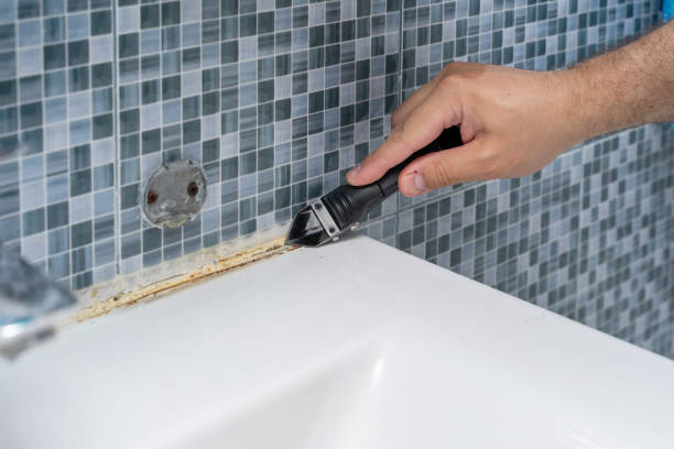 Best Emergency Mold Removal  in Ellisburg, NJ