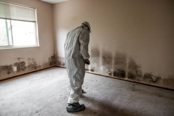 Best Mold Removal Specialists  in Ellisburg, NJ