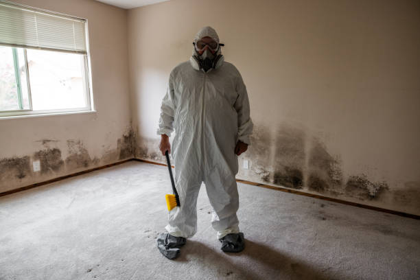 Professional Mold Removal in Ellisburg, NJ