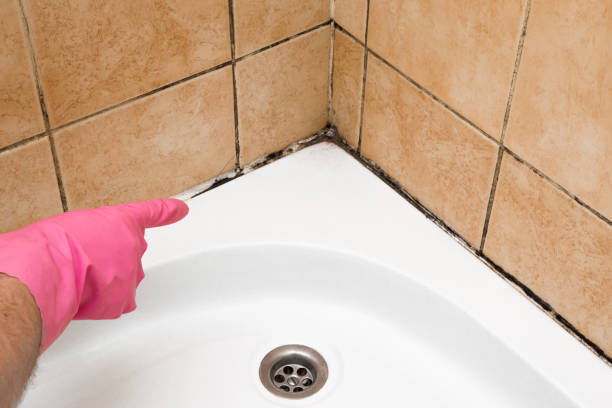 Best Office Mold Removal Services  in Ellisburg, NJ
